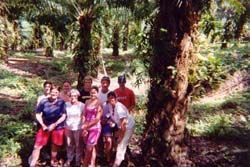 Maramakas Plantation, July 2002