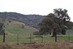 2/22 Stones at Trawool